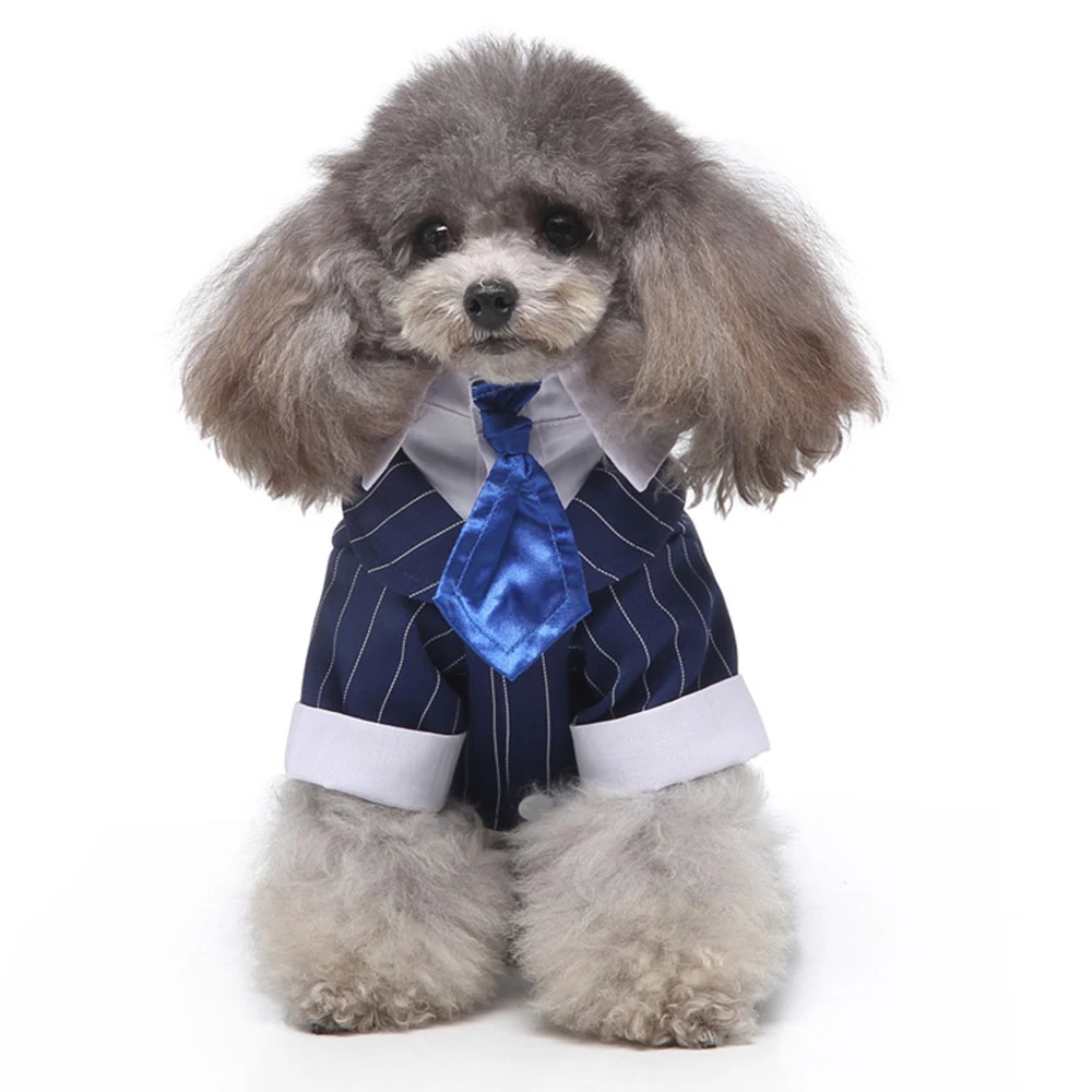 A poodle wearing a blue pinstripe shirt and tie costume