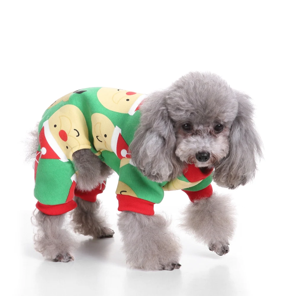 Gray poodle wearing a green and red Christmas Santa costume on a white background
