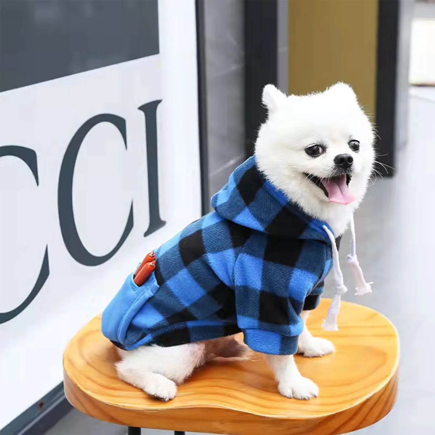 A white dog sitting on a wooden stool, wearing a blue and black plaid hooded sweatshirt.