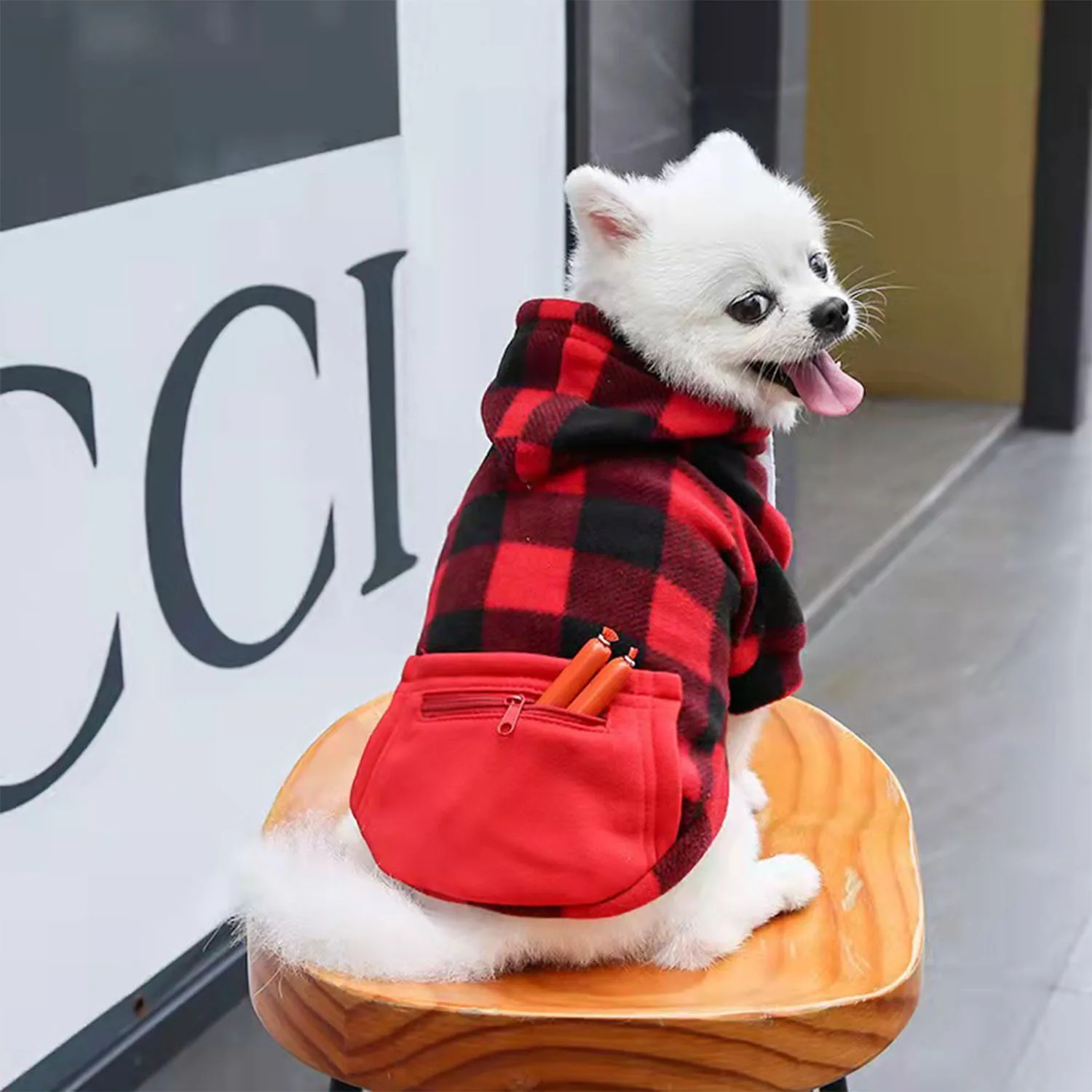 A small white dog wearing a red and black plaid hoodie with a front pouch.