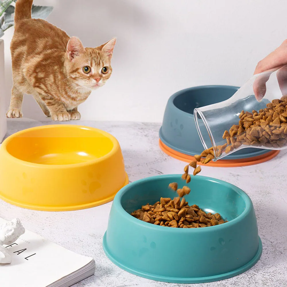Orange tabby cat watching as kibble is poured into teal bowl next to yellow and blue bowls