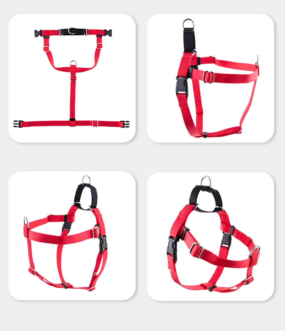 Four views of a red dog harness with black buckles and a metal ring on a white background