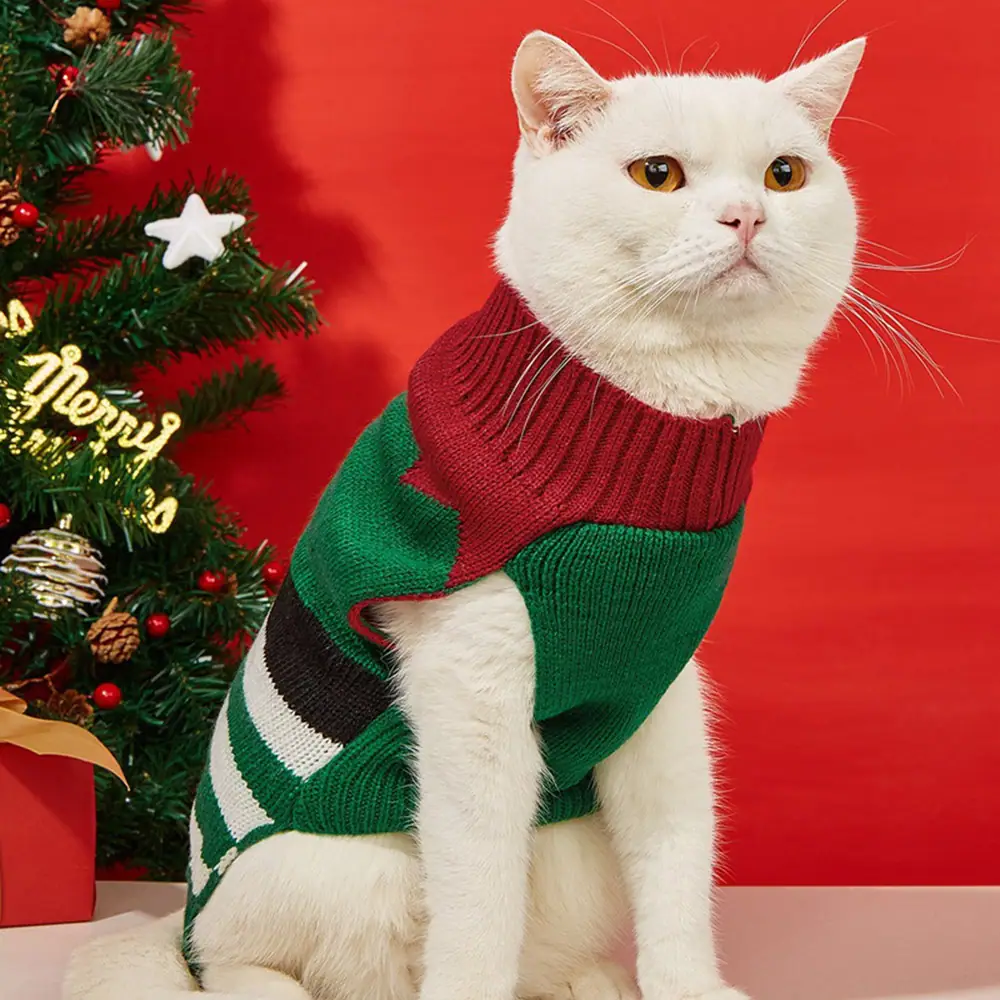 A white cat wearing a green and red striped Christmas sweater sitting next to a Christmas tree.