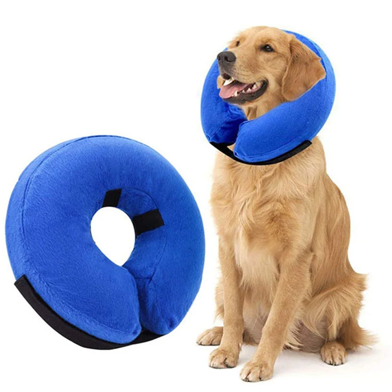Blue inflatable dog neck collar shown as a product and worn by a golden retriever