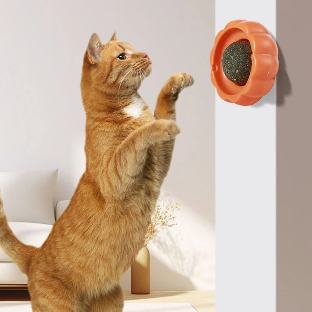 Orange tabby cat standing on hind legs reaching for a wall-mounted orange cat scratcher