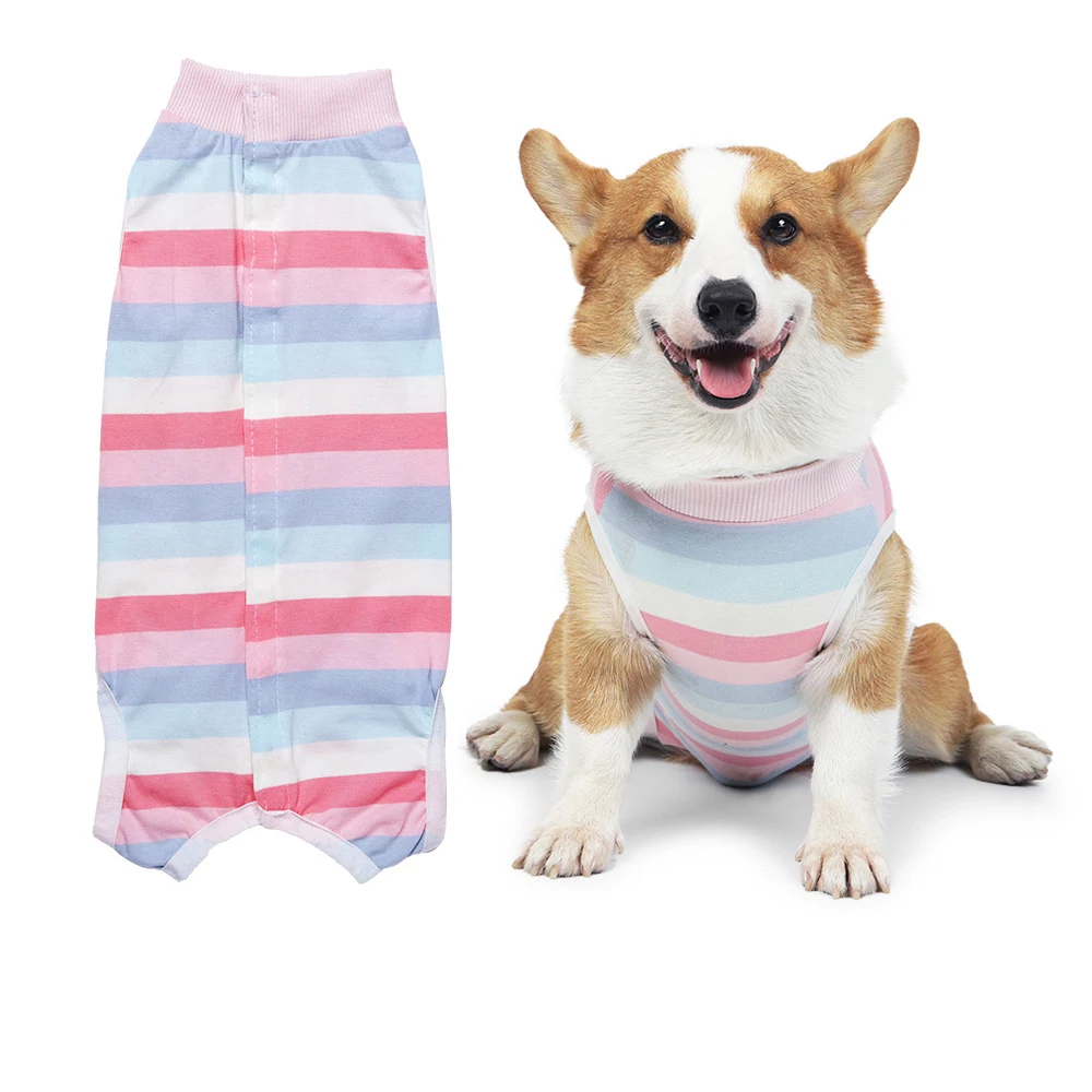 Pink and blue striped dog t-shirt shown flat and worn by a corgi on a white background
