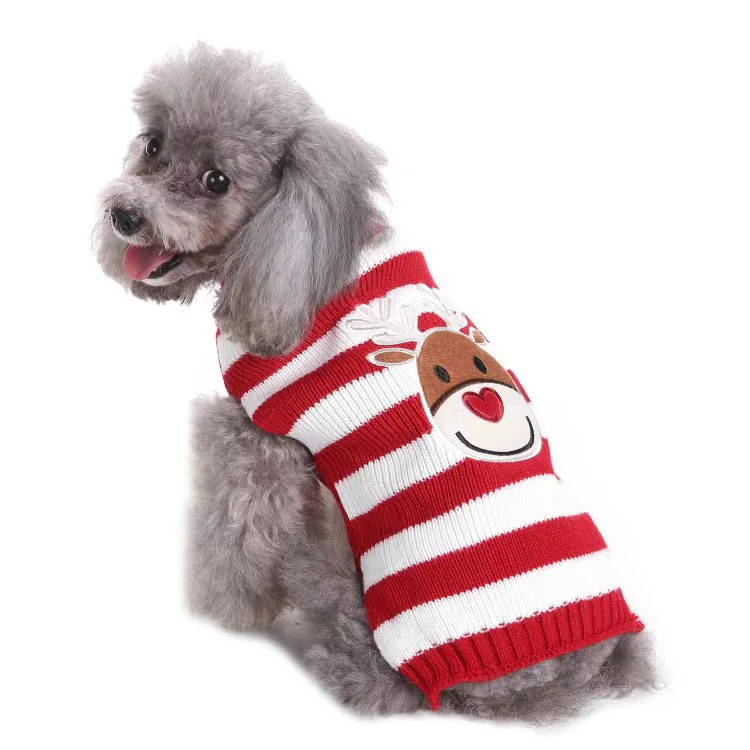 Gray poodle sitting and wearing a red and white striped sweater with a reindeer face design