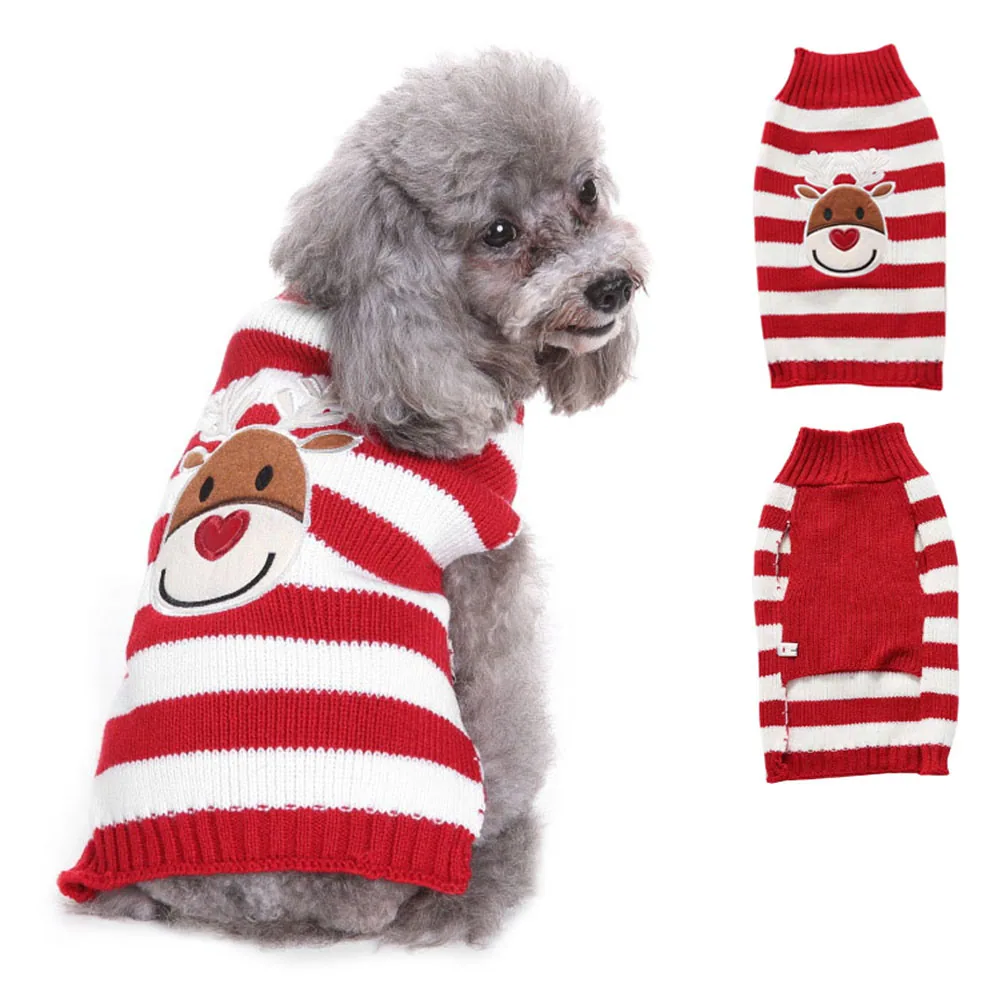 Grey poodle wearing a red and white striped reindeer sweater with front and back views