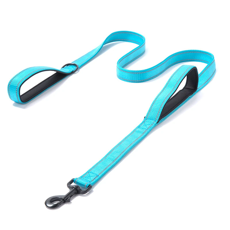 Turquoise dog leash with black padded handles and metal clip