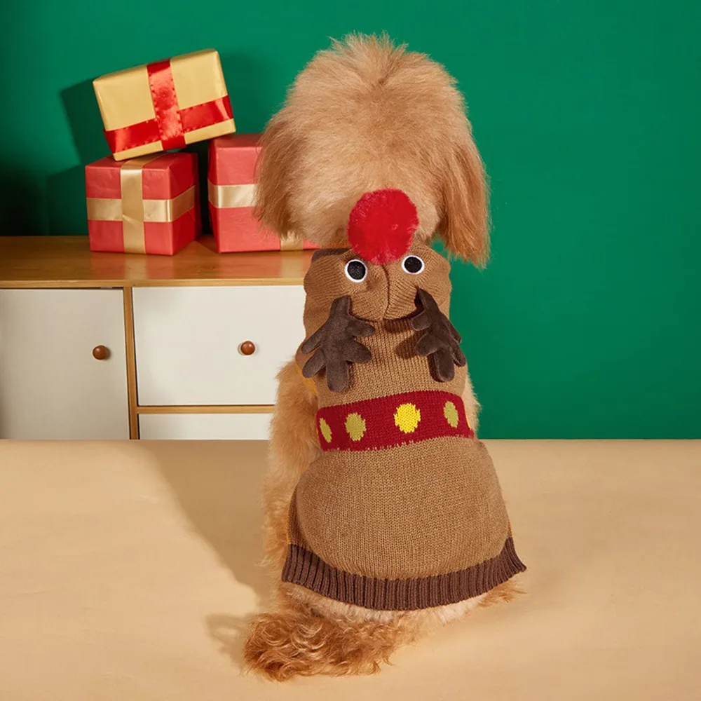 A brown poodle wearing a knitted chicken costume sits on a table near wrapped gifts.