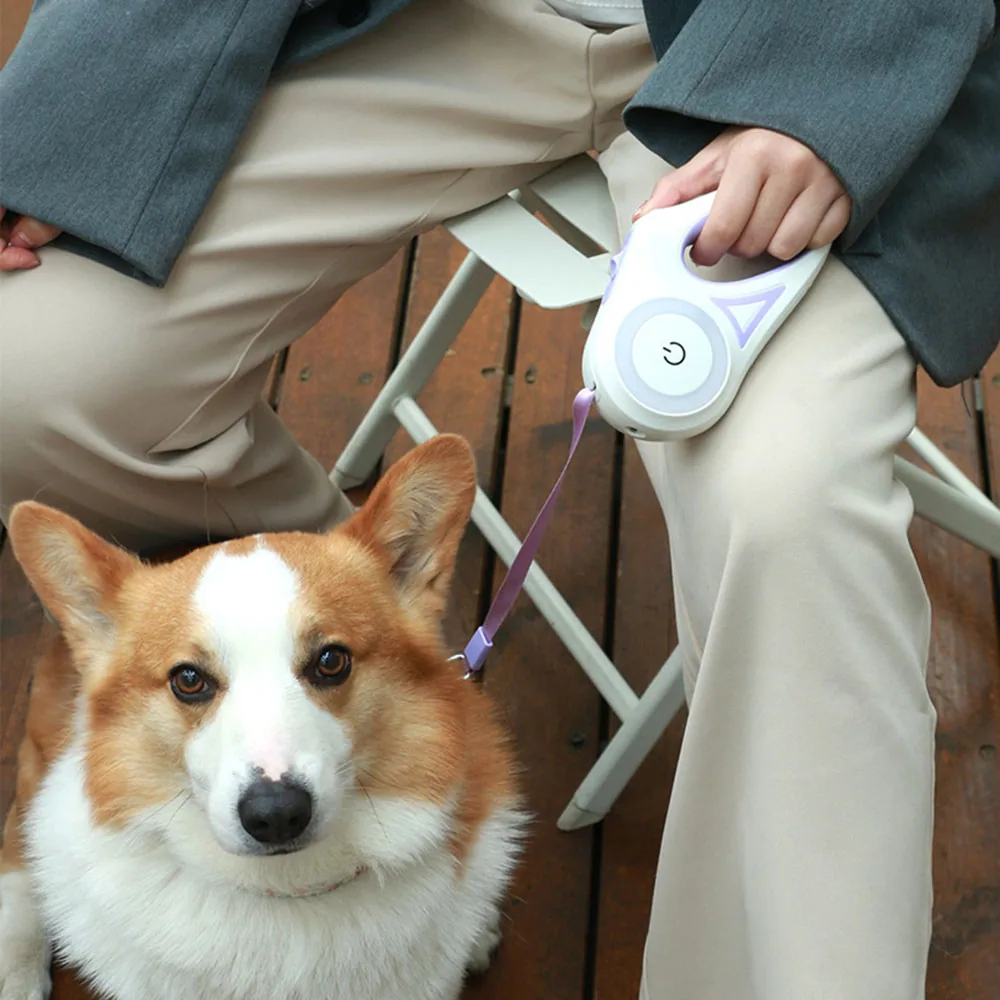 A person holding a white handheld pet water bottle attached to a purple leash on a corgi dog.