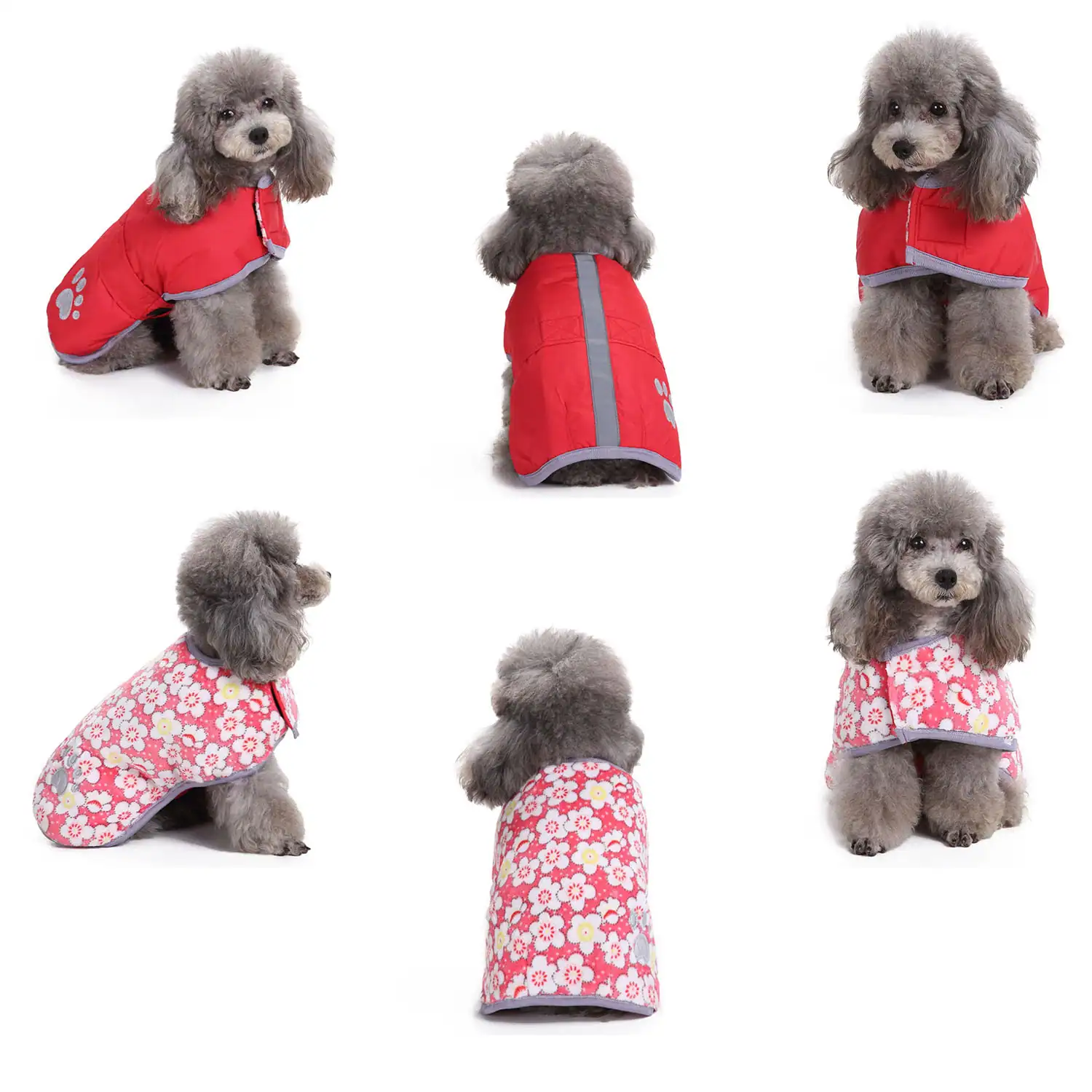 Collage of six images showing a grey poodle modeling a red and a floral pink pet vest.