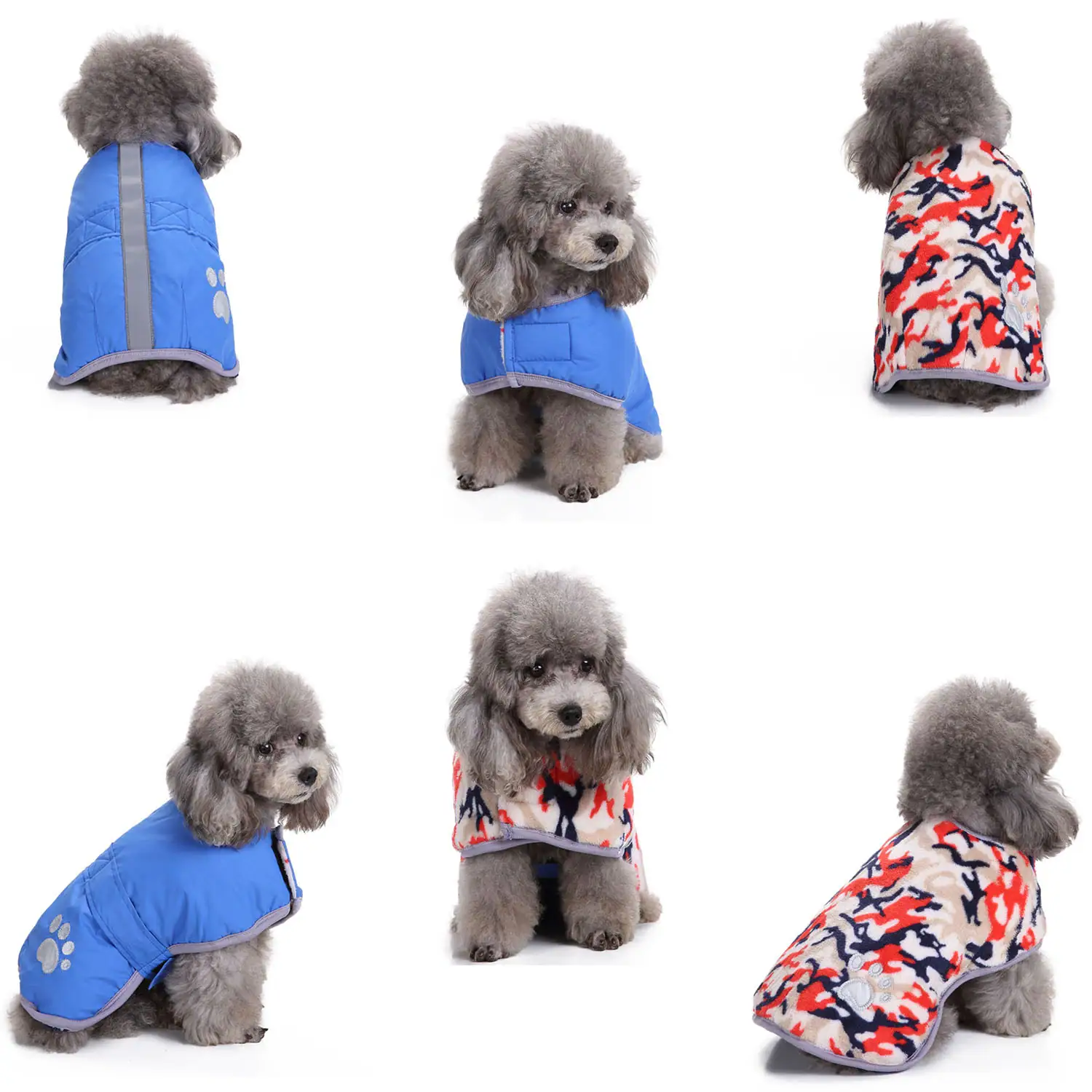 Collage of six photos showing a gray poodle wearing blue and camouflage fleece pet jackets.