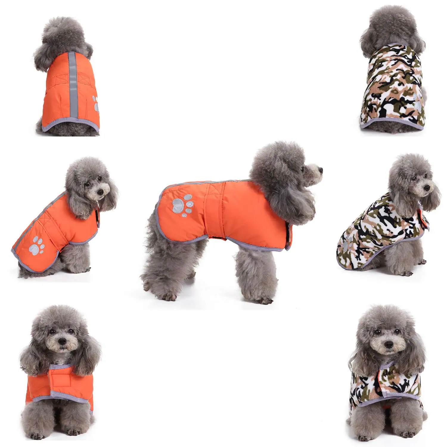 Collage of grey poodle wearing orange reflective vest and camouflage coat in various views