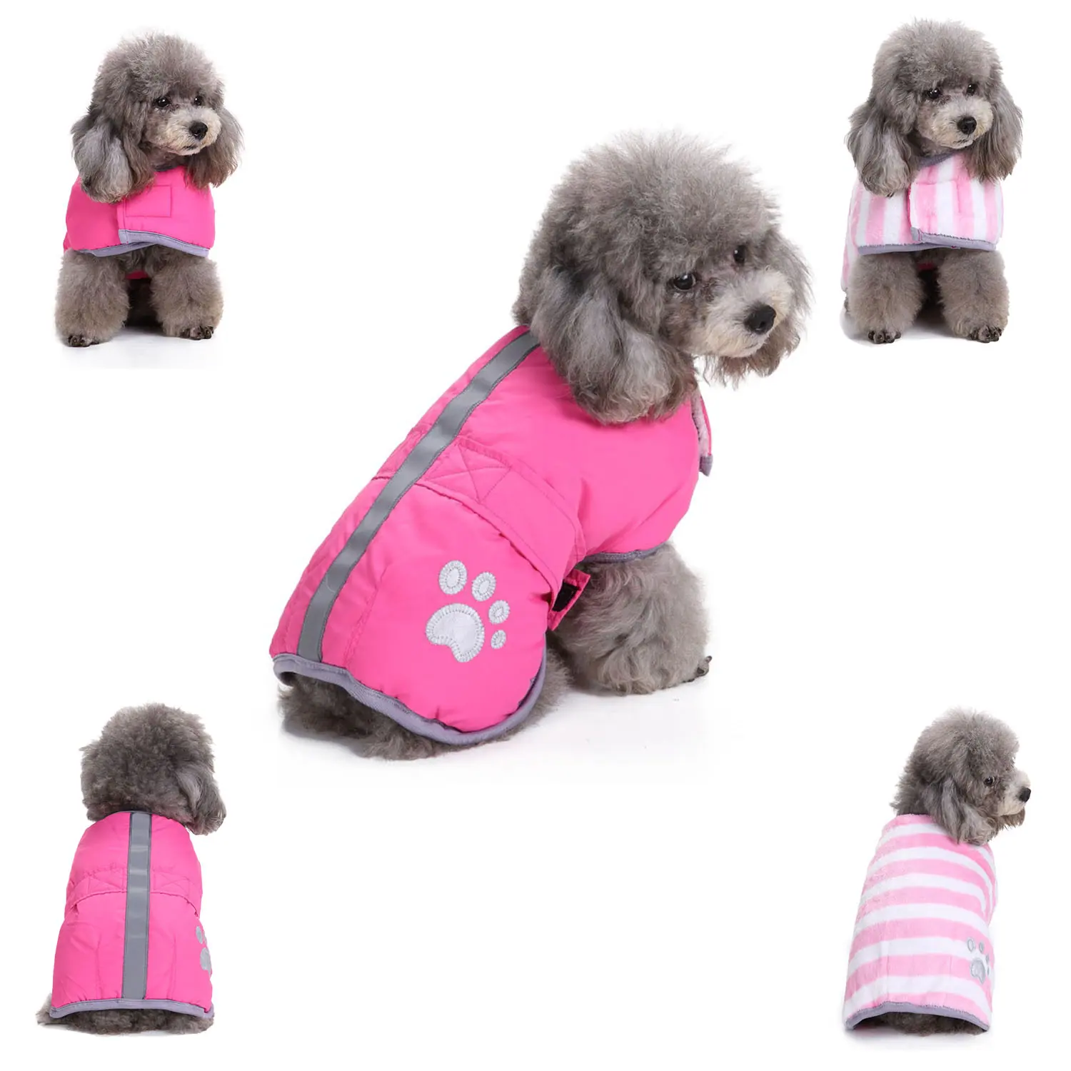 Collage of a gray poodle modeling a pink pet coat with reflective trim and a paw print design.