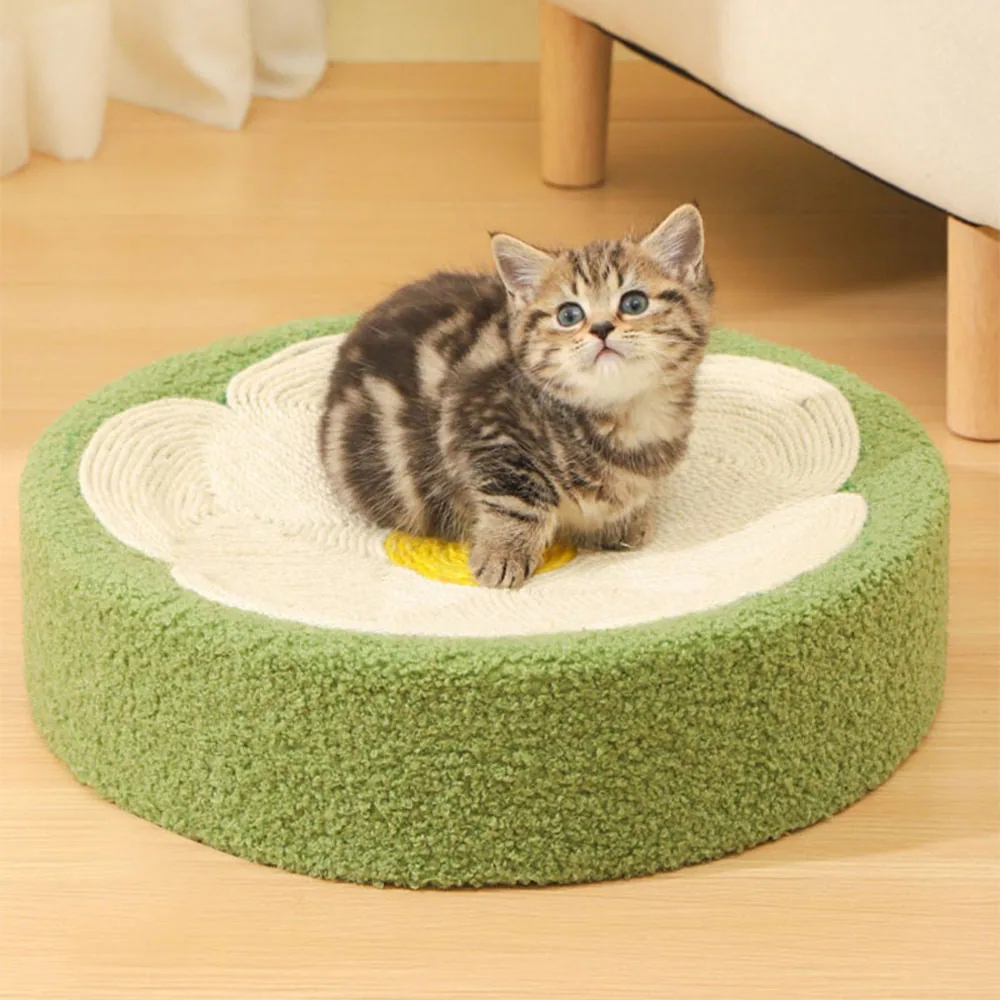 A cute tabby kitten sitting on a flower-shaped green and white cat scratching pad.