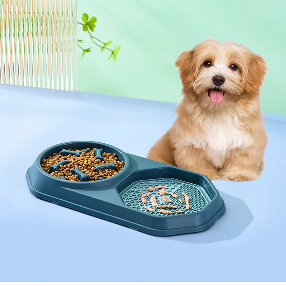 A small fluffy dog sits next to a blue slow feeder bowl containing kibble on a light blue surface.