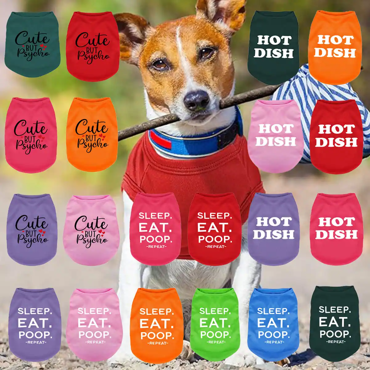 A dog wearing a red shirt holding a stick, surrounded by a collage of various colored dog shirts with printed text.