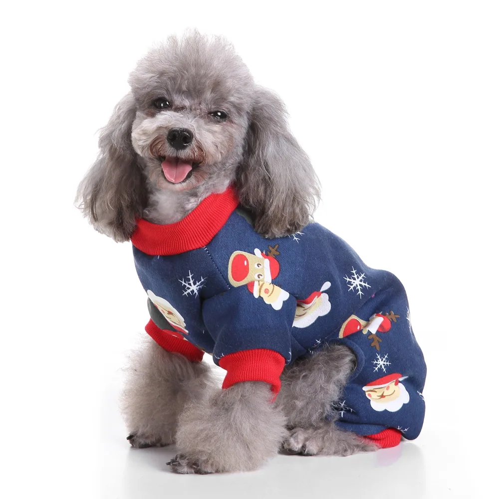 Grey poodle dog sitting wearing a blue Christmas sweater with Santa and snowman patterns against a white background