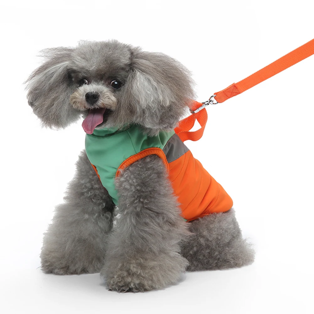 A grey poodle wearing an orange and green reflective safety vest attached to a matching orange leash.