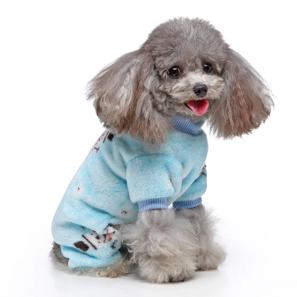 Grey poodle wearing a light blue patterned fleece sweater