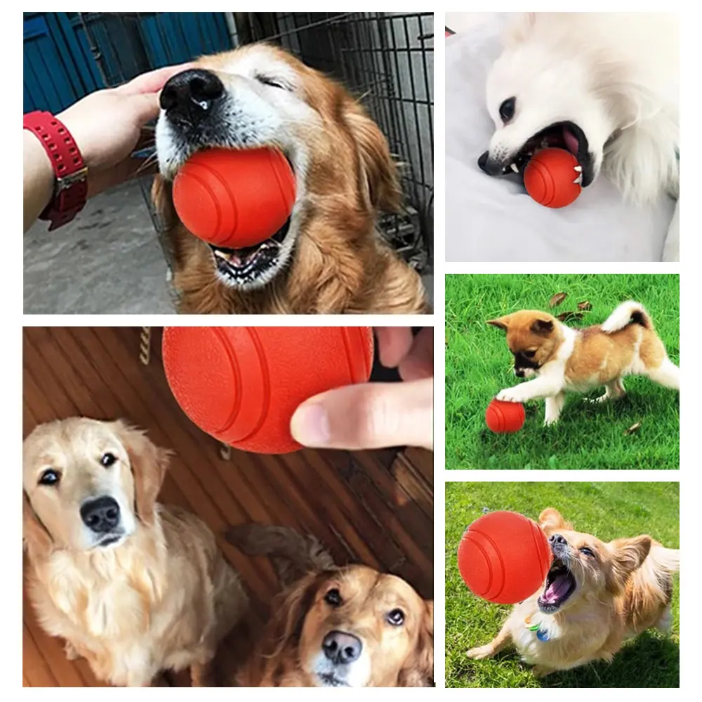 A collage of photos showing various dogs playing with and holding a red rubber ball toy.