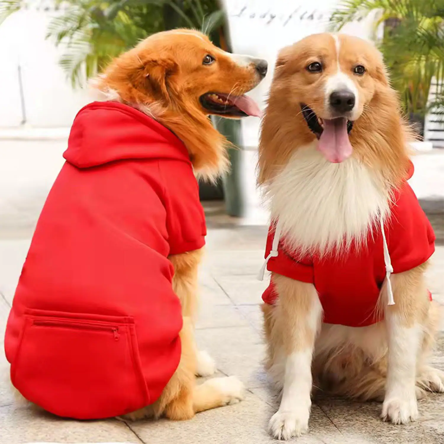 Two golden retrievers wearing red hooded sweatshirts sitting outdoors