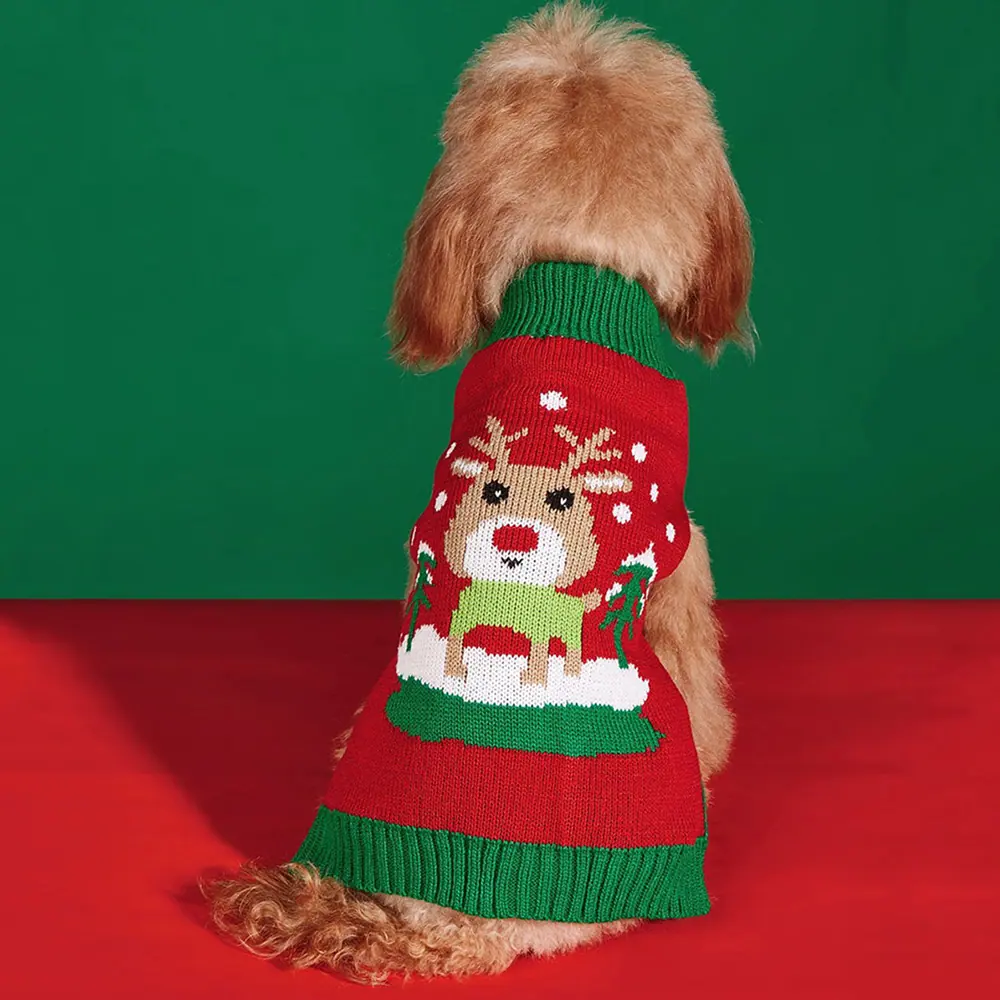 Dog wearing a red and green Christmas sweater with a reindeer design