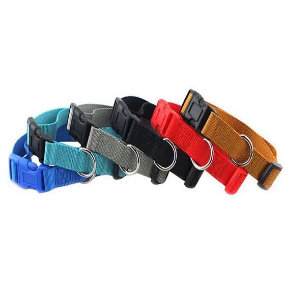 Set of six nylon dog collars in blue, teal, grey, black, red, and brown arranged diagonally on a white background.
