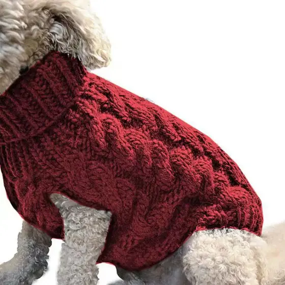 A dog wearing a red cable-knit turtleneck sweater