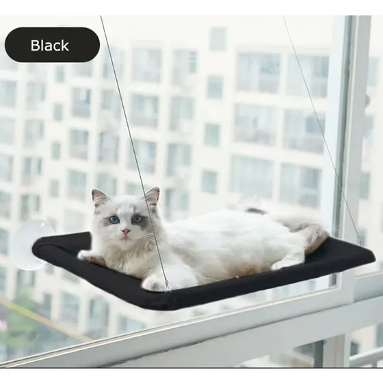 Black hanging cat window bed with suction cups attached to a glass window, with a cat resting on it.