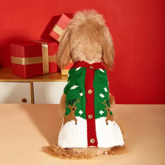 Small brown dog viewed from behind wearing a green and white knitted Christmas sweater with reindeer pattern
