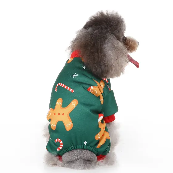 A gray poodle wearing a green Christmas sweater with gingerbread men and candy cane patterns.