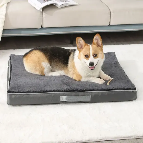 Corgi dog lying on a rectangular gray pet bed placed on a white rug in front of a sofa.