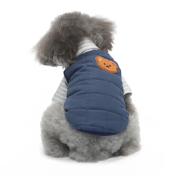 A grey poodle viewed from behind wearing a blue quilted vest with a brown bear face applique.