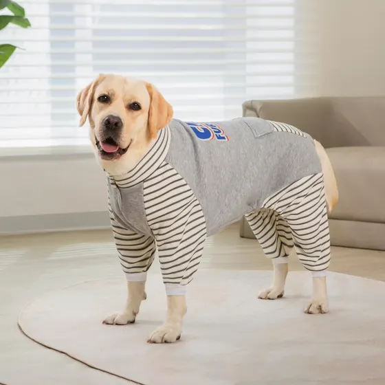 Yellow Labrador dog standing indoors wearing a grey and striped hooded sweatshirt