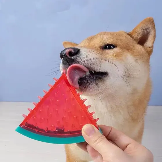 A dog licking a red and green watermelon-shaped silicone toy held by a hand