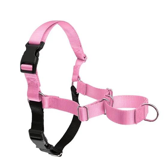 Pink and black dog harness with buckles and metal rings on a white background.