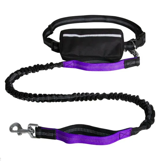 Black and purple hands-free dog leash with waist belt, bungee cord, and metal clip