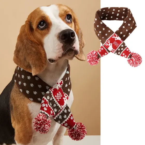 Beagle wearing a brown and red knitted scarf with pom-poms, shown with product detail