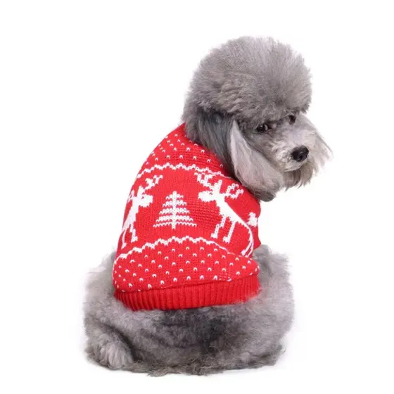 Gray poodle sitting in profile wearing a red and white knitted sweater with reindeer and tree patterns.