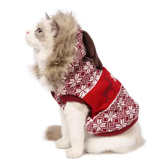 A fluffy cat wearing a red and white knitted sweater with a reindeer pattern