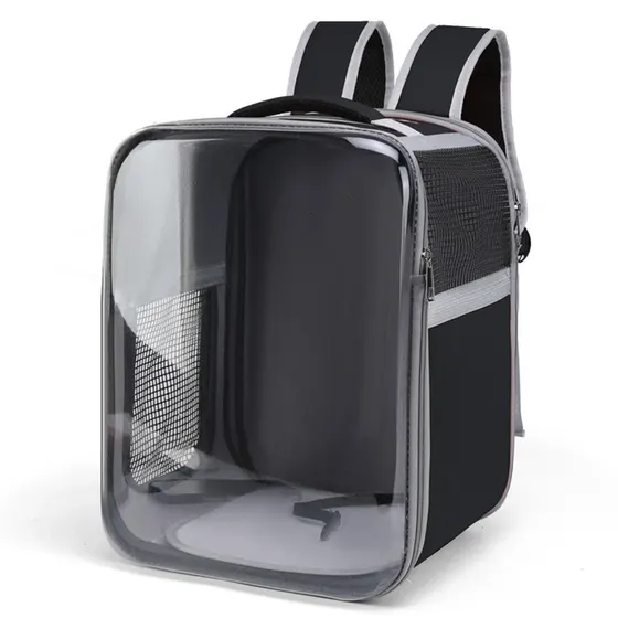Black backpack with a large transparent front panel and mesh side pockets on a white background
