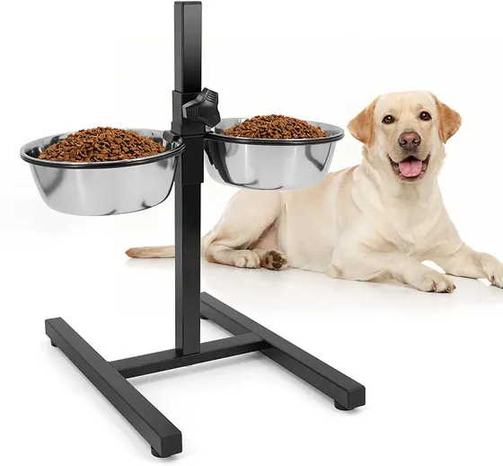 A raised double dog bowl stand with two stainless steel bowls filled with kibble, and a yellow Labrador lying next to it.