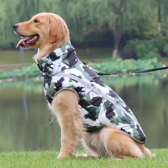 Golden Retriever wearing a white and green camouflage patterned pet vest with a reflective strip
