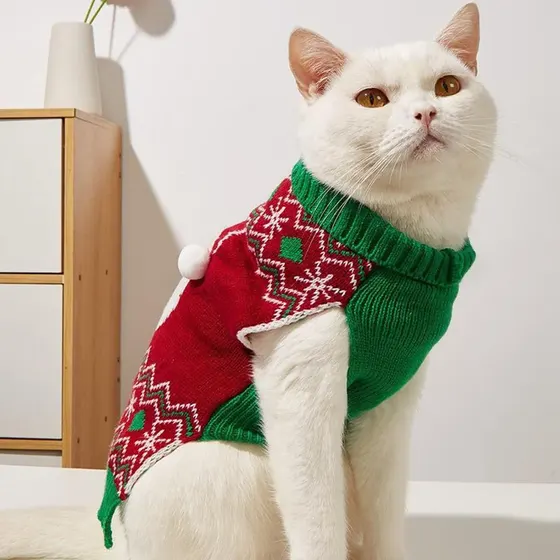 A white cat wearing a red and green knitted Christmas sweater sitting indoors.
