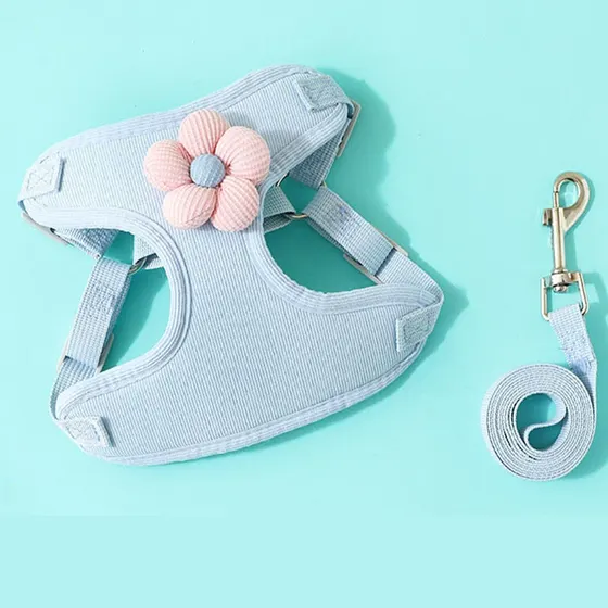 A light blue pet harness with a pink flower and a matching leash with a metal clip on a teal background.