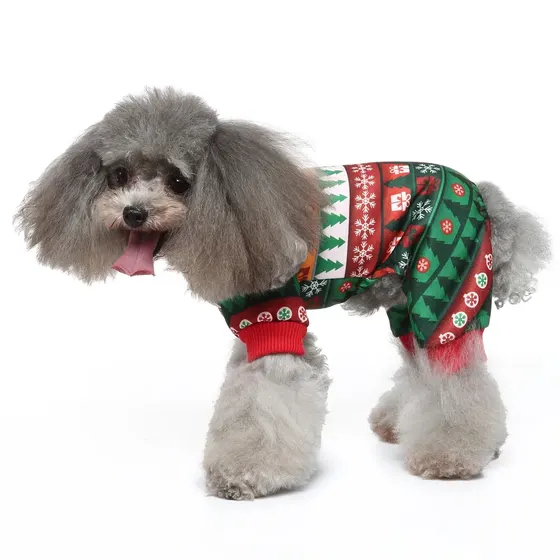 Grey poodle wearing a festive Christmas sweater with trees and snowflakes on a white background