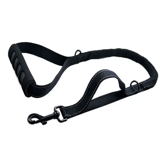 Black nylon dog leash with a padded handle and metal snap hook