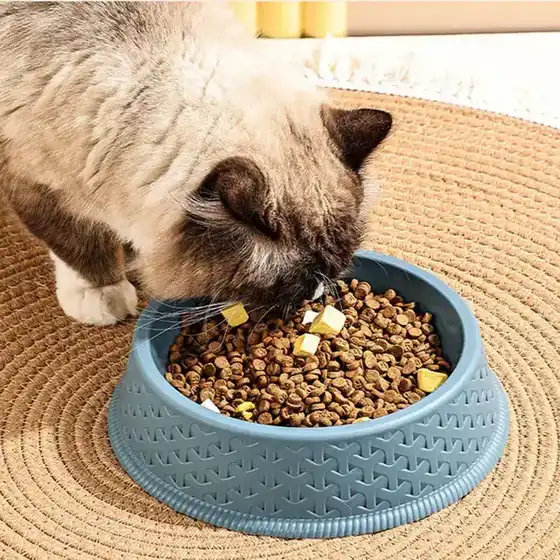 A cat eating dry food from a blue textured bowl on a woven mat